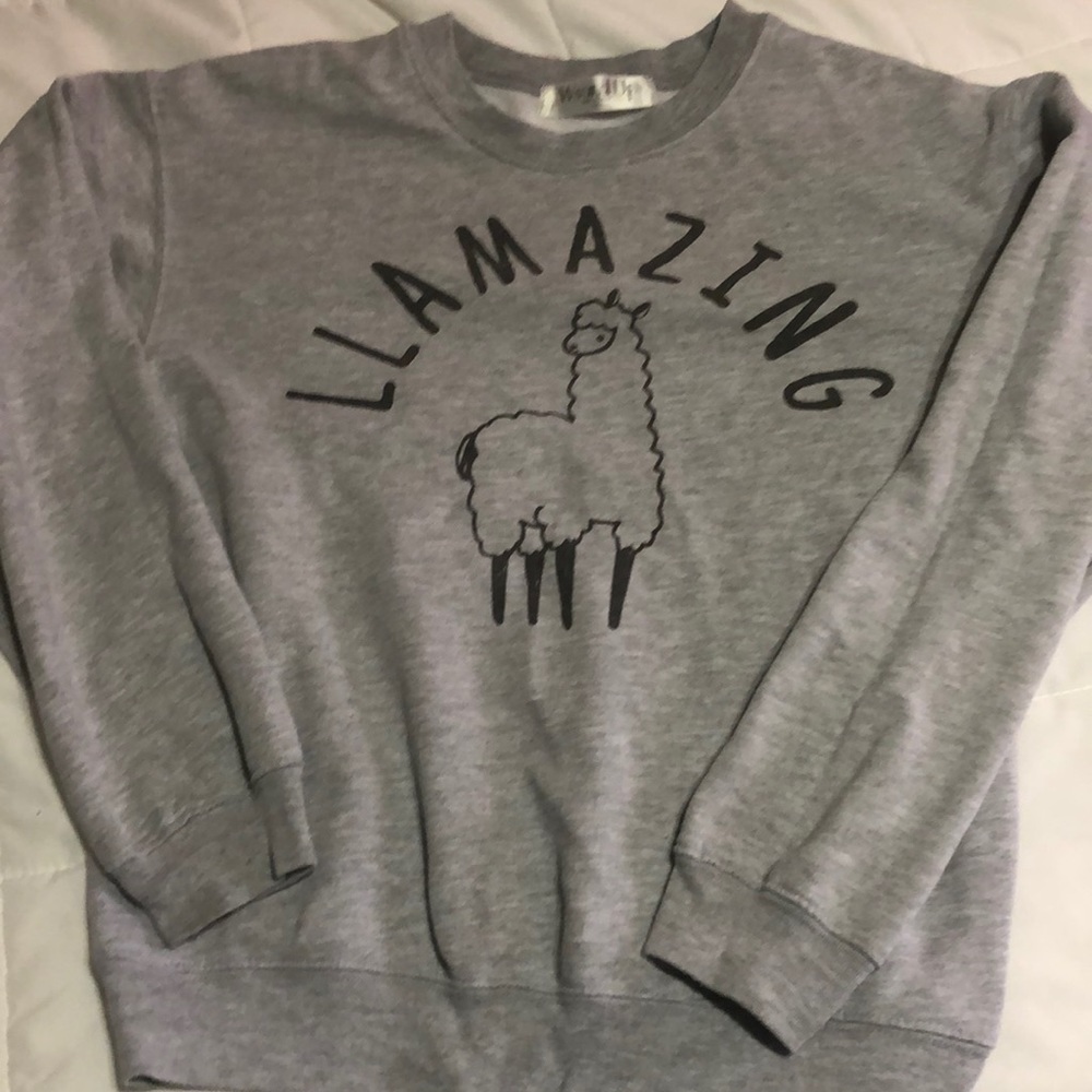 Women’s Wound Up Llamazing Sweatshirt size XS
